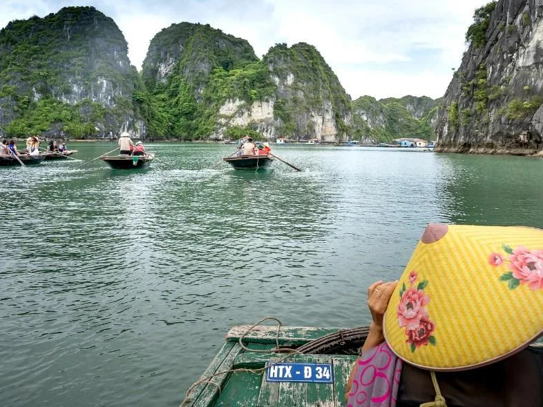 Rowboats crossing Halong Bay past limestone karsts