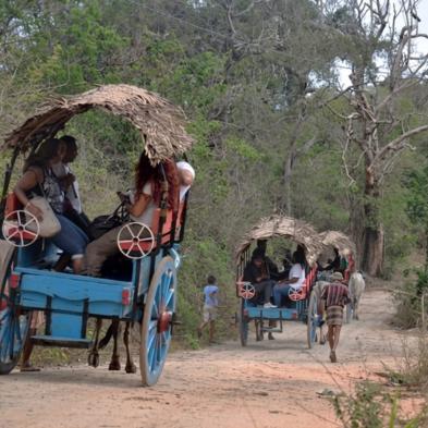 Traditional Sri Lankan village tour experience in Sigiriya