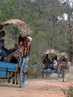 Traditional Sri Lankan village tour experience in Sigiriya
