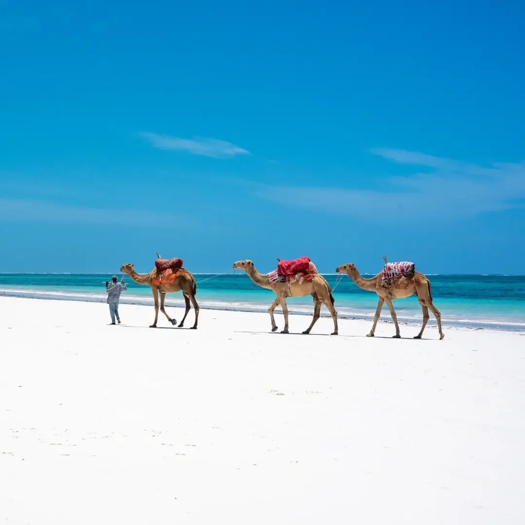Mombasa — Kenya travel destination