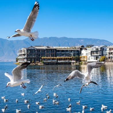 Private luxury yacht cruising Erhai Lake with the Cangshan Mountains in the background, Dali China