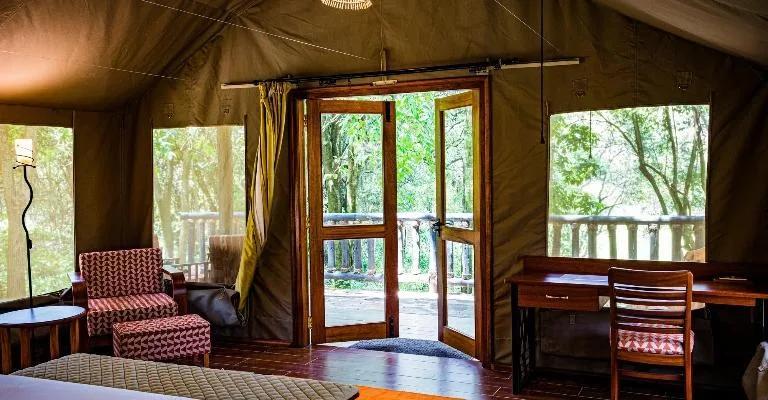 Interior of a luxury safari tent with open doors leading to a forest view.