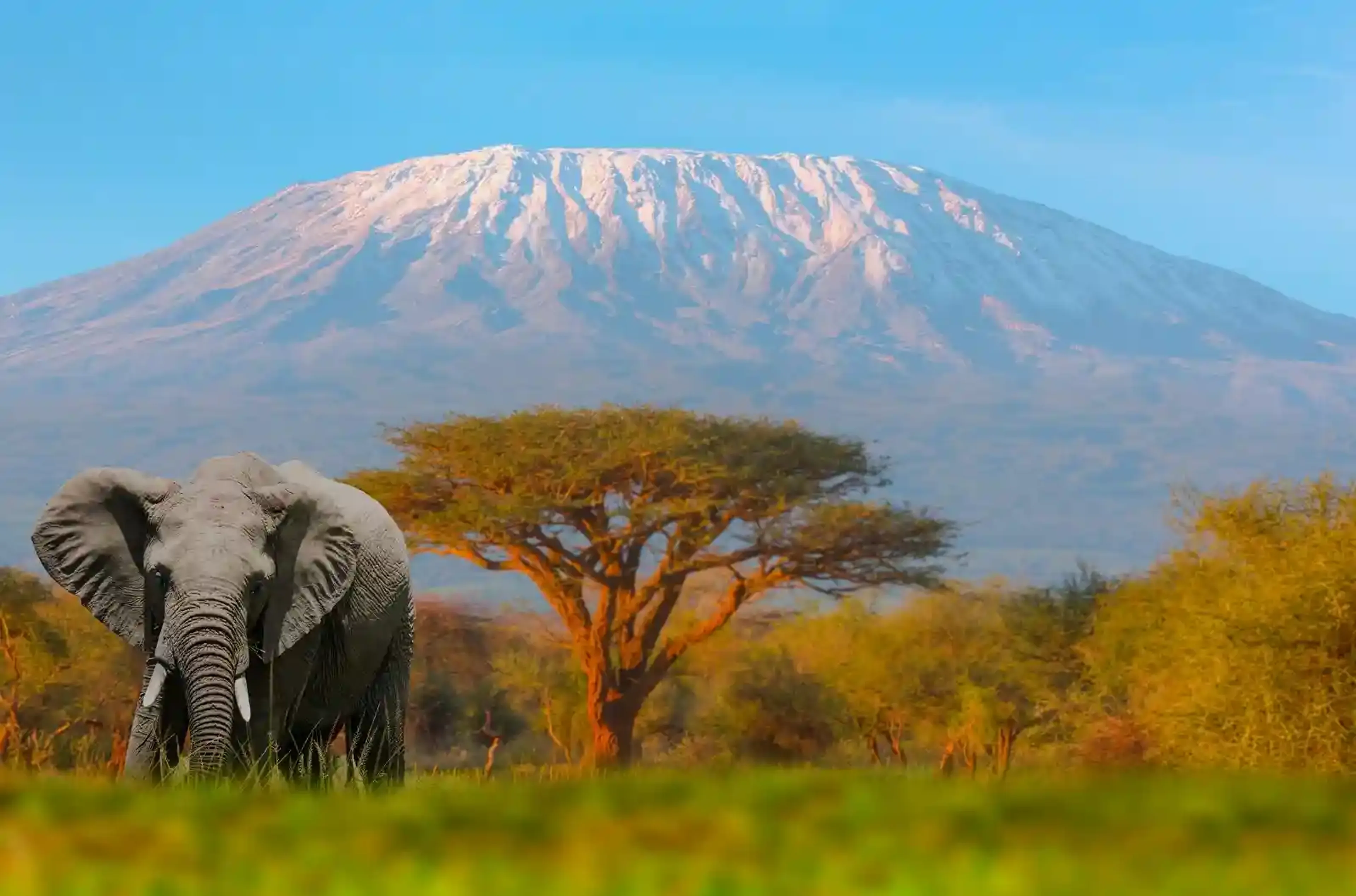 Luxury safari lodge in Kenya overlooking wildlife-rich plains offering premium safari stay experience