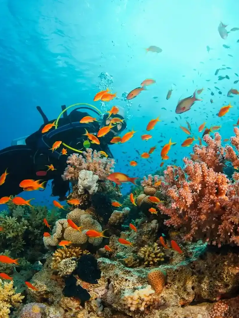 Snorkeling over coral reefs with tropical fish in Kenya's marine parks