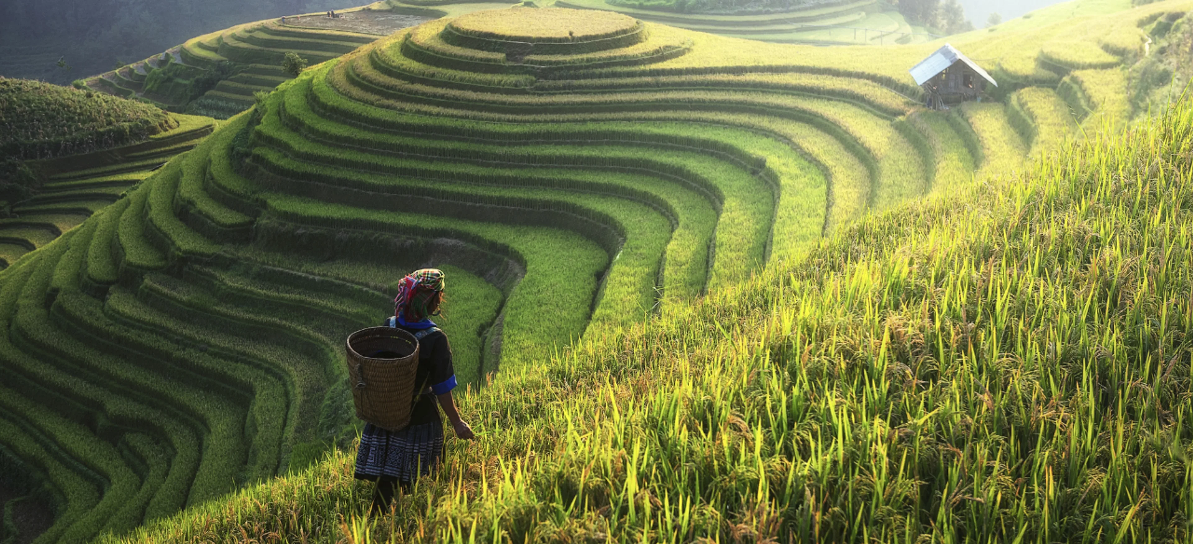 Vietnam travel destinations featuring scenic bays, cultural landmarks, tropical islands, mountains, and vibrant city experiences
