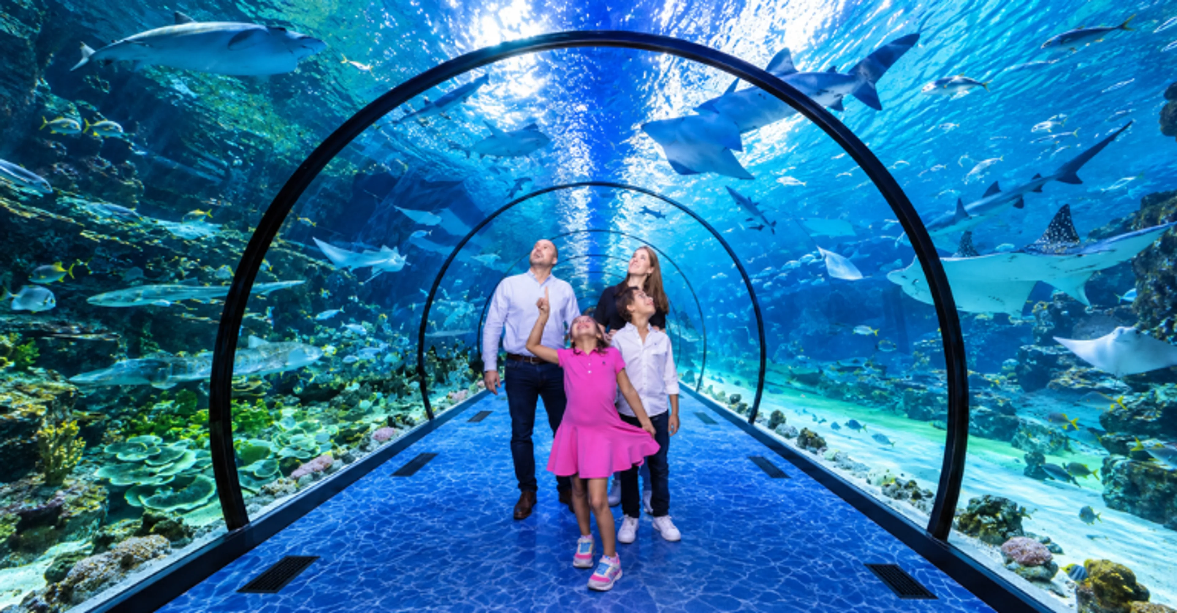Family in an underwater tunnel at the National Aquarium, Abu Dhabi