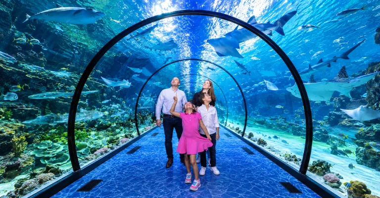 Family in an underwater tunnel at the National Aquarium, Abu Dhabi