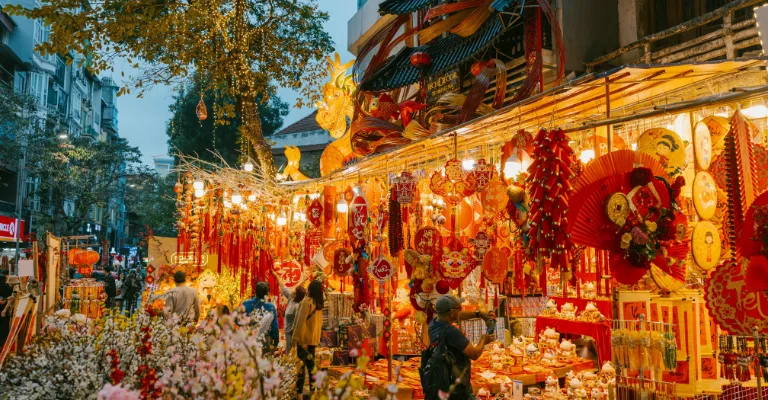 Vietnam travel experiences featuring beaches, culture, and scenic landscapes