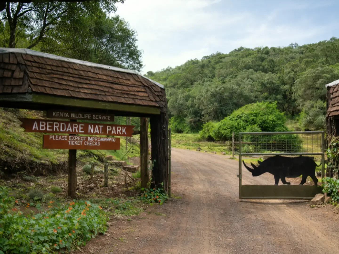 Safari Uncovered - Forests, Lakes & the Mara