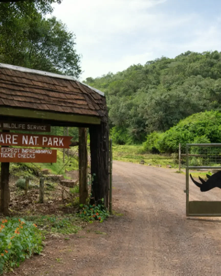 Safari Uncovered - Forests, Lakes & the Mara