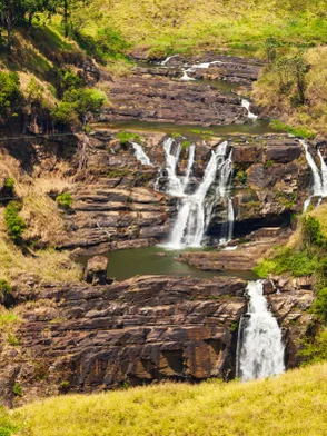 St. Clair's and Devon Falls surrounded by tea plantations