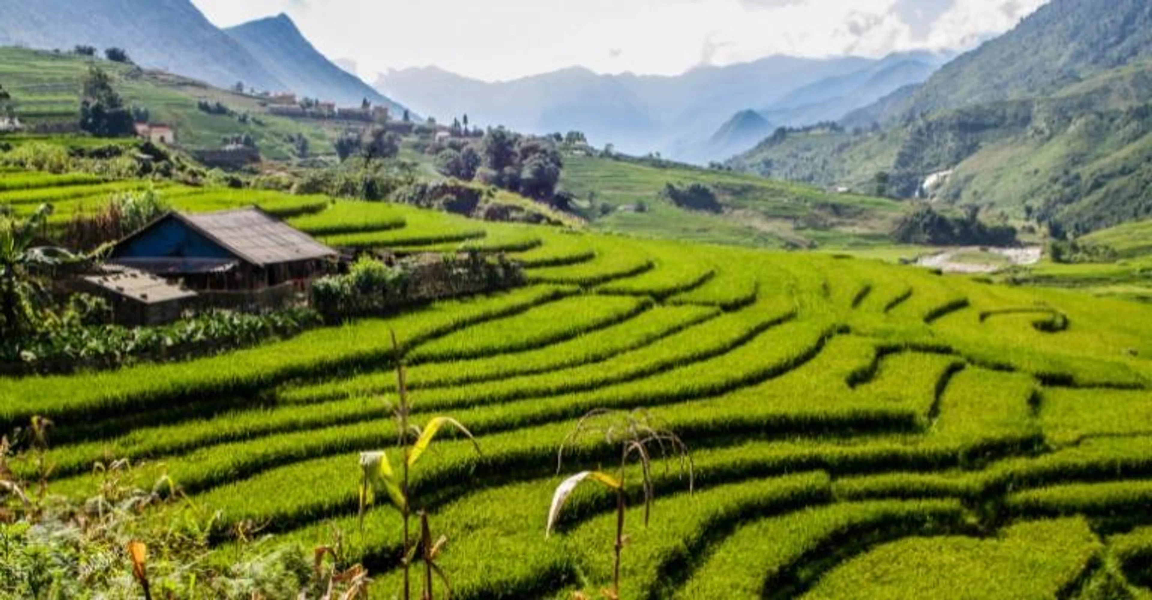 Terraced rice fields and a hillside farmhouse in the mountains near Sapa