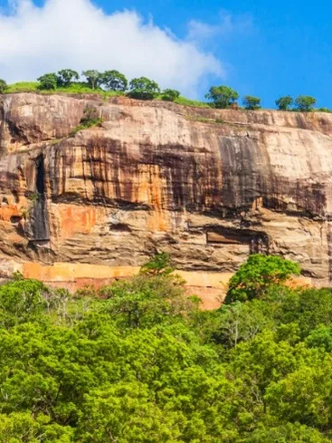 Where Nature Comes Alive