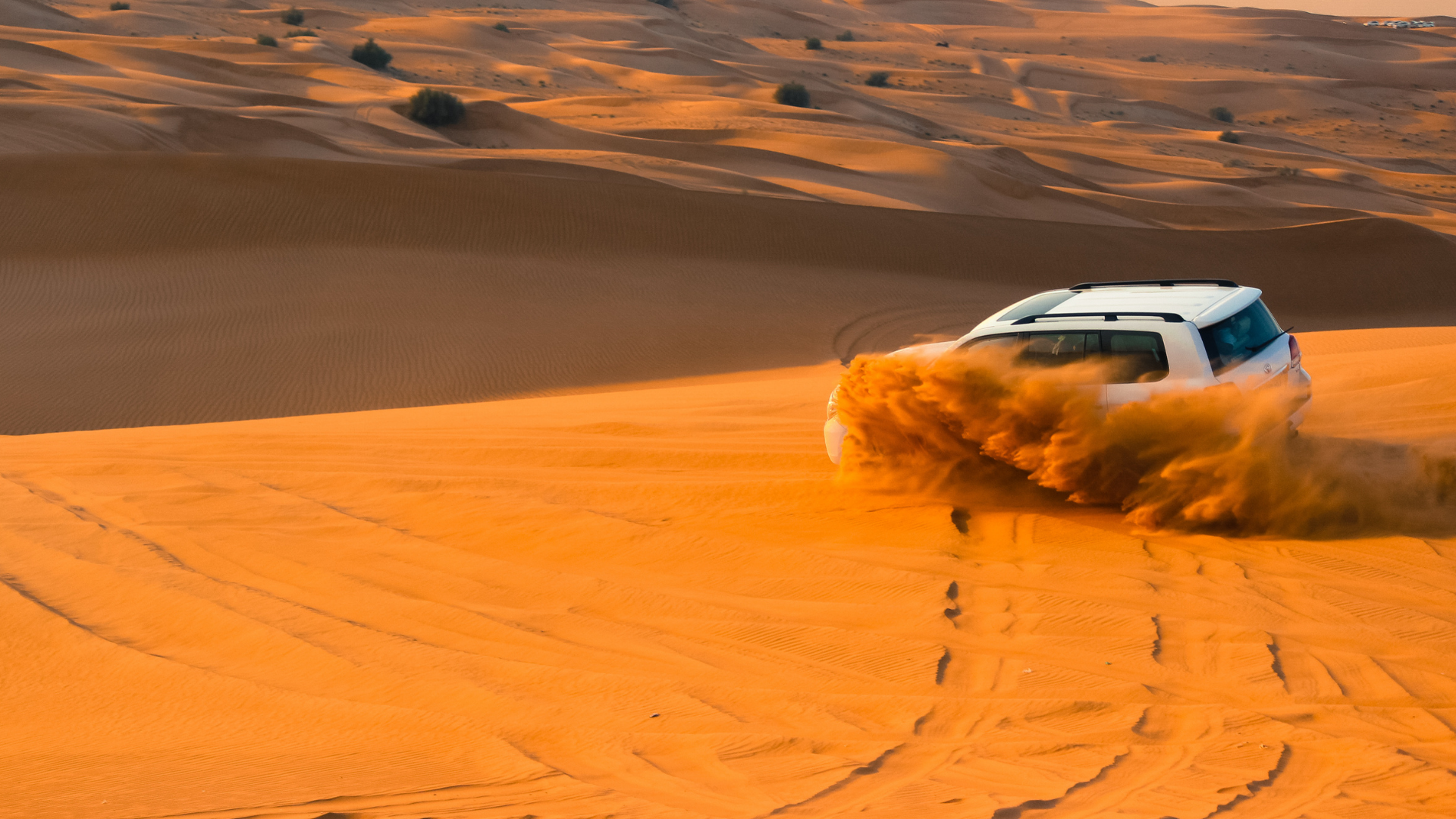 SUV kicking up sand while dune bashing during a desert safari.