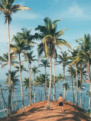 Coconut Tree Hill viewpoint overlooking the ocean in Mirissa
