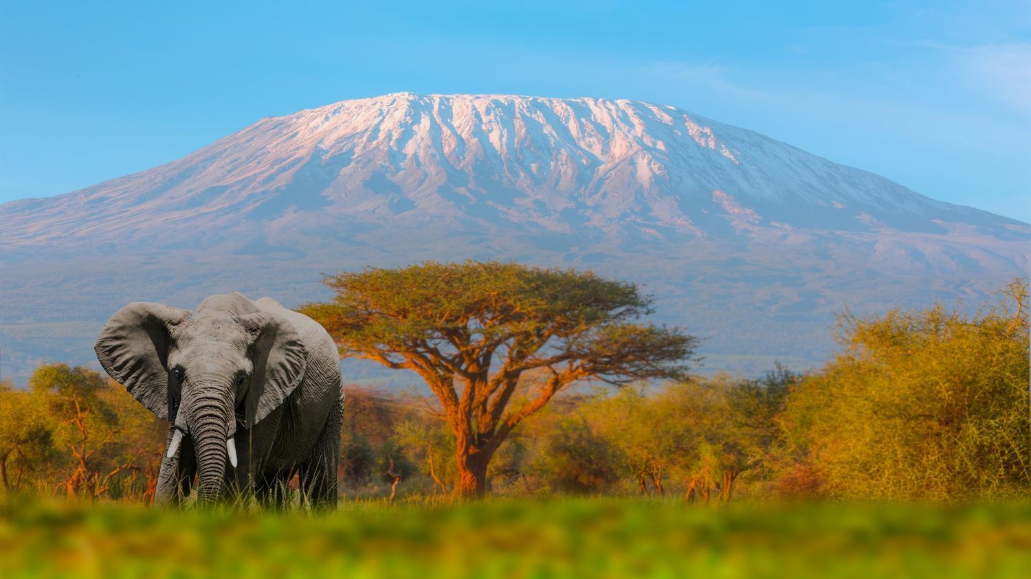 Discover Kenya's Untamed North