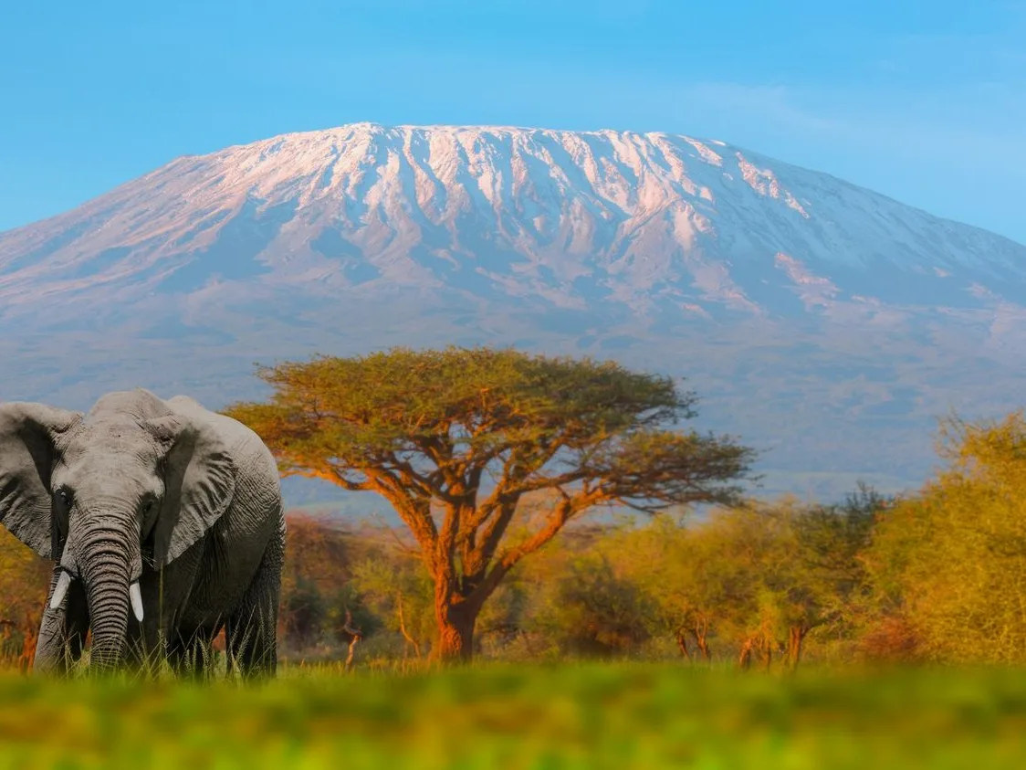 Discover Kenya's Untamed North