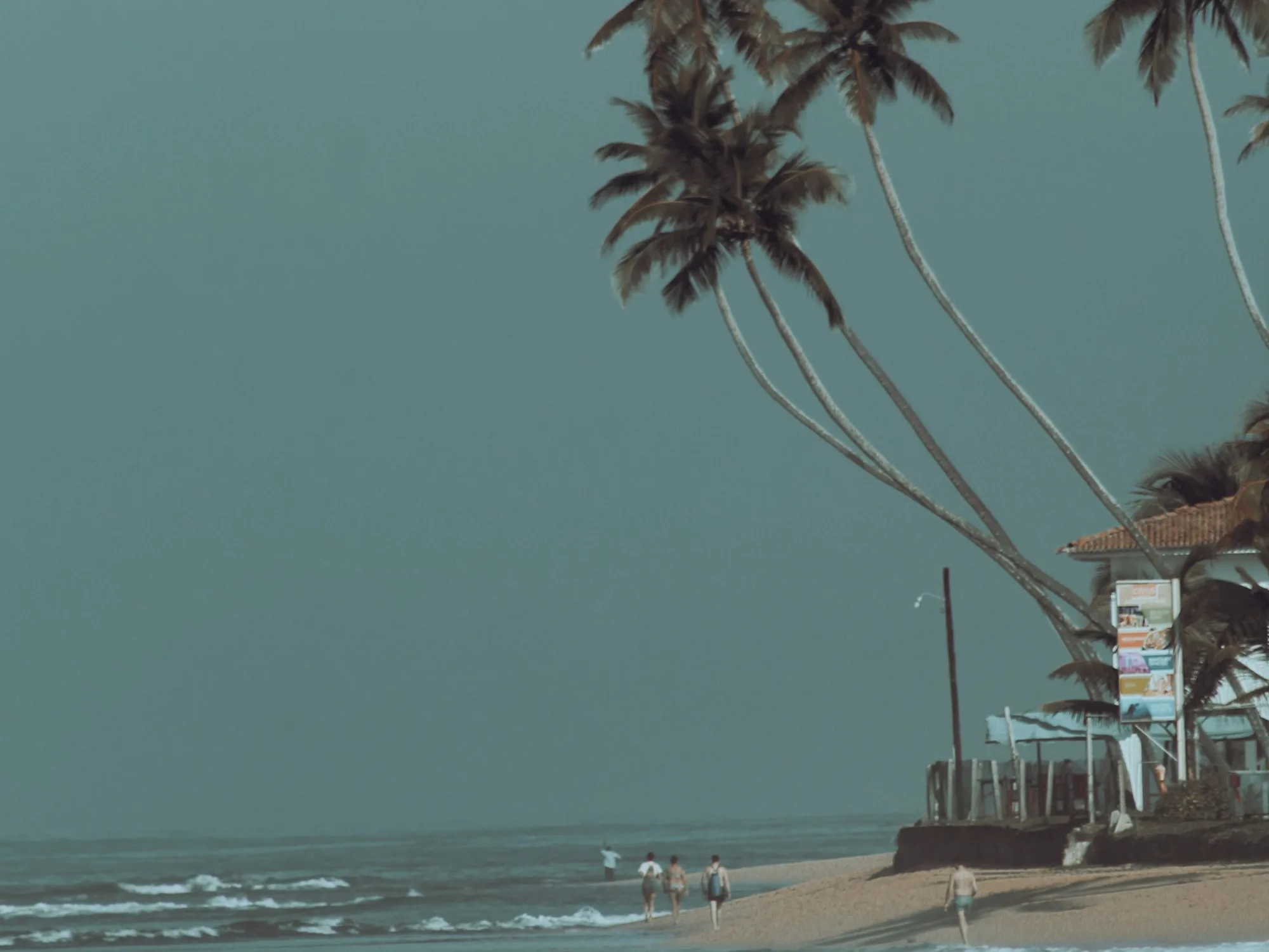 A beach with palm trees and a pier in Galle, Sri Lanka