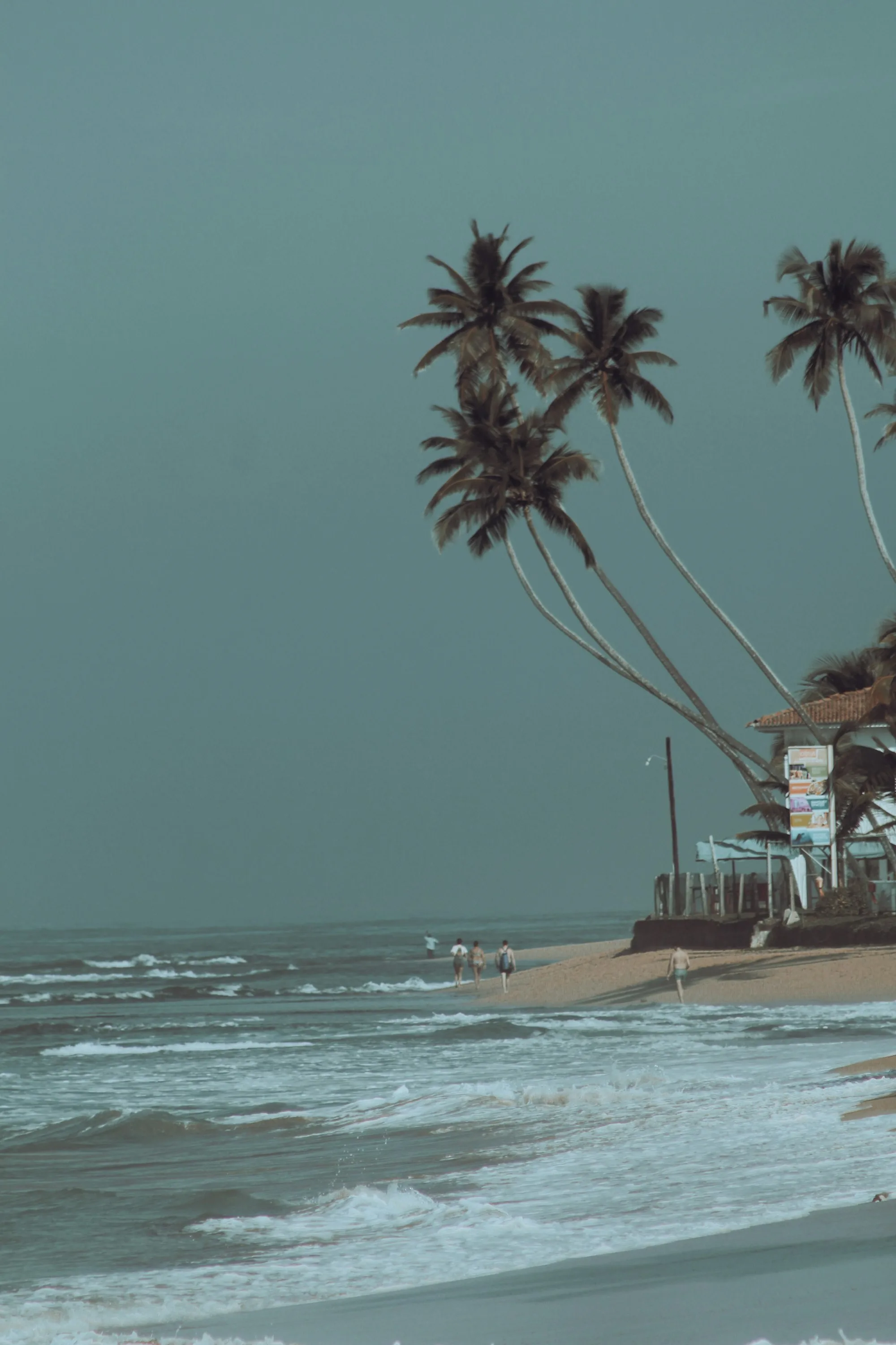 A beach with palm trees and a pier in Galle, Sri Lanka