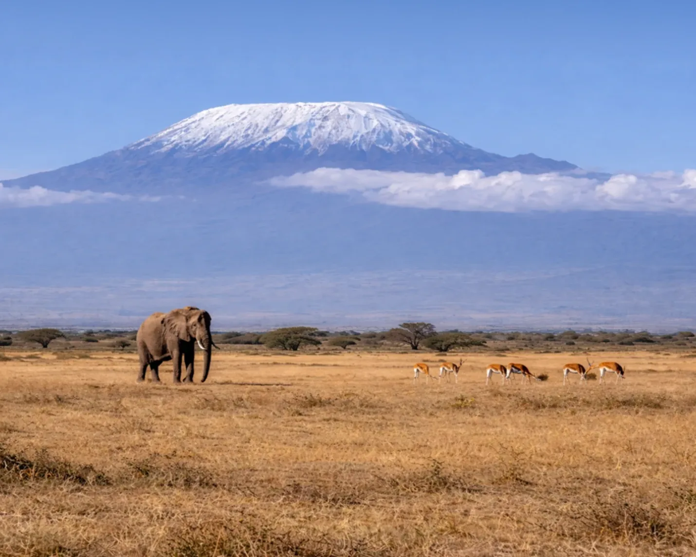 Great Wall of Kenya