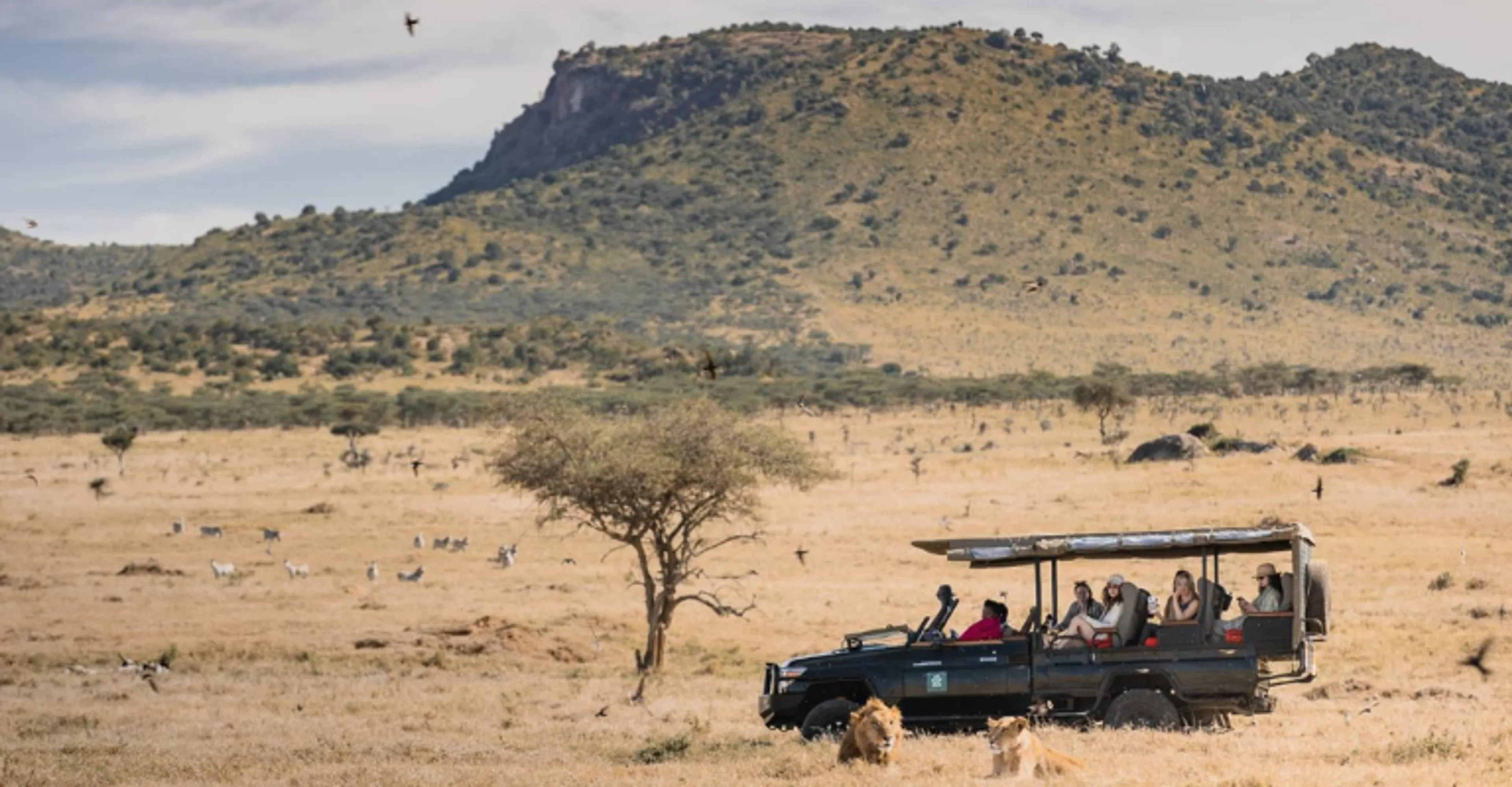 A safari vehicle with tourists watches two lions resting in the grass, with zebra grazing in the distance and a rocky hill in the background