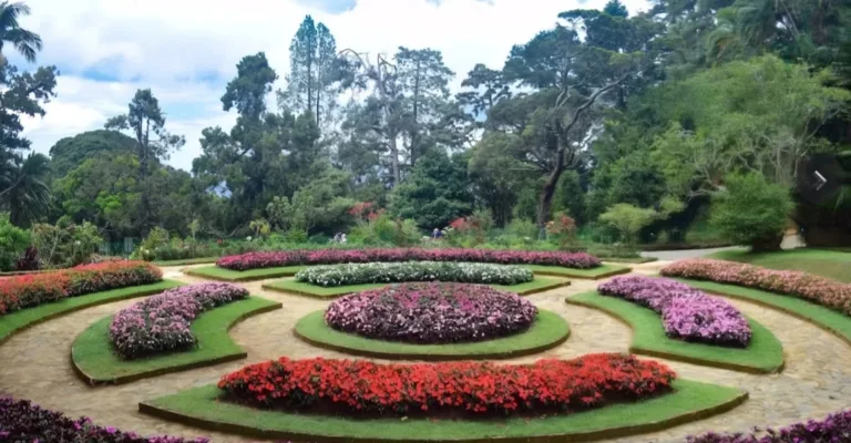Hakgala Botanical Garden in Nuwara Eliya, Sri Lanka, on the Ramayana Trail
