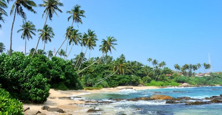 Misty tea plantations and coastal landscape of Sri Lanka