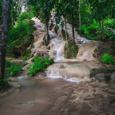 Sticky Waterfalls Bua Tong limestone rock formations in Chiang Mai