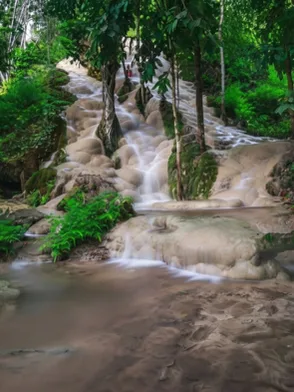 Sticky Waterfalls Bua Tong limestone rock formations in Chiang Mai
