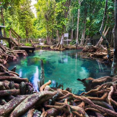 Krabi Rainforest Tour featuring the Emerald Pool and hot springs
