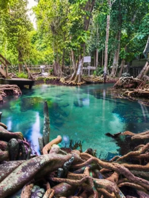 Krabi Rainforest Tour featuring the Emerald Pool and hot springs