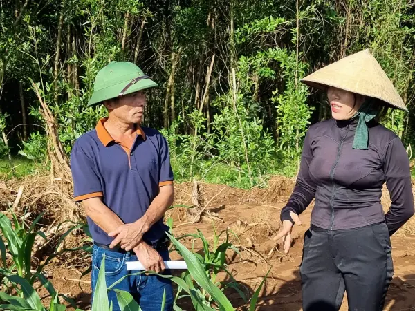 Tham quan mô hình ngô sinh khối tại Nghệ An — ảnh 35