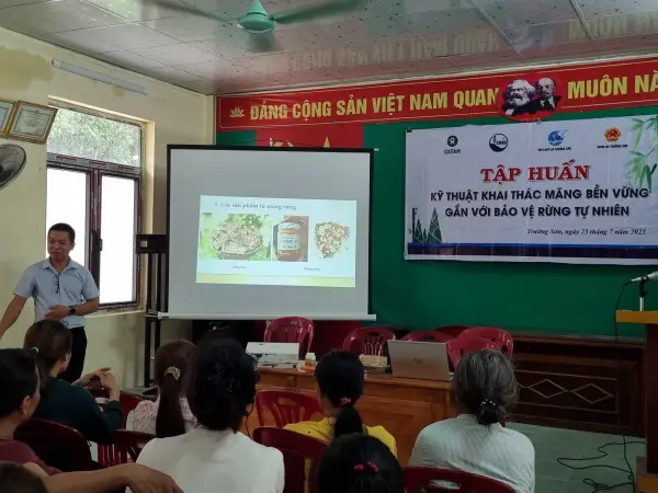 Tập huấn kỹ thuật khai thác măng bền vững gắn với bảo vệ rừng tự nhiên — ảnh 3
