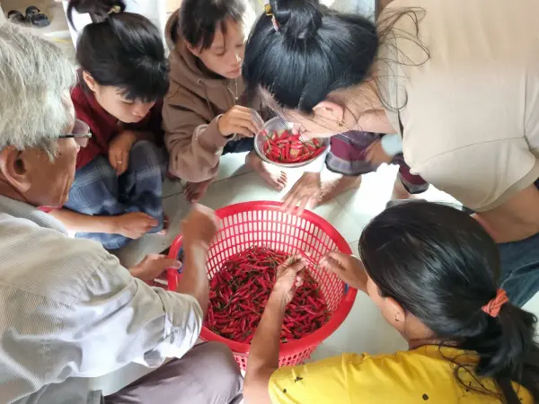 Tập huấn kiến thức vệ sinh an toàn thực phẩm và kỹ thuật công nghệ chế biến măng — ảnh 23