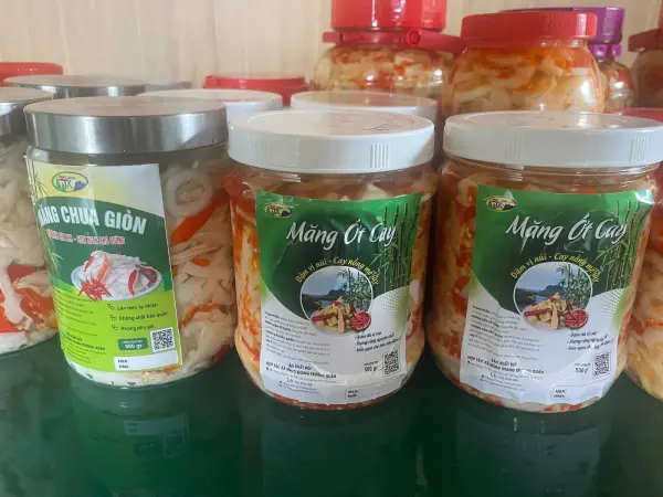 Tập huấn kiến thức vệ sinh an toàn thực phẩm và kỹ thuật công nghệ chế biến măng — ảnh 25