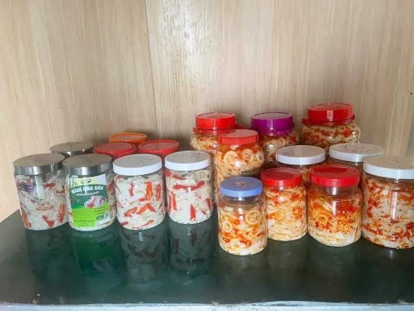 Tập huấn kiến thức vệ sinh an toàn thực phẩm và kỹ thuật công nghệ chế biến măng — ảnh 27