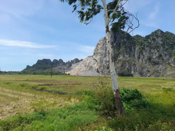 Khảo sát nhu cầu và lập kế hoạch mô hình sinh kế — ảnh 29