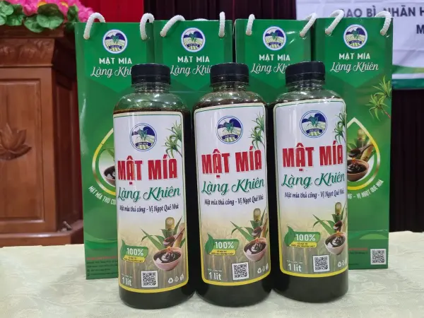 Lễ bàn giao bao bì, nhãn hiệu và bộ nhận diện sản phẩm mật mía Làng Khiên — ảnh 11