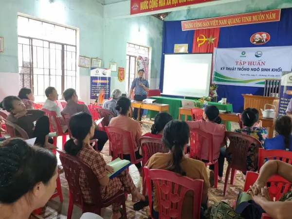 Tập huấn kỹ thuật trồng ngô sinh khối — ảnh 2