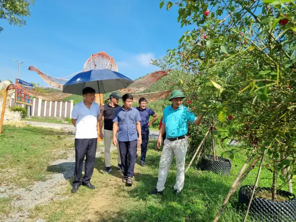 Tham quan mô hình ngô sinh khối tại Nghệ An — ảnh 11