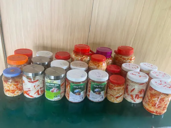 Tập huấn kiến thức vệ sinh an toàn thực phẩm và kỹ thuật công nghệ chế biến măng — ảnh 31