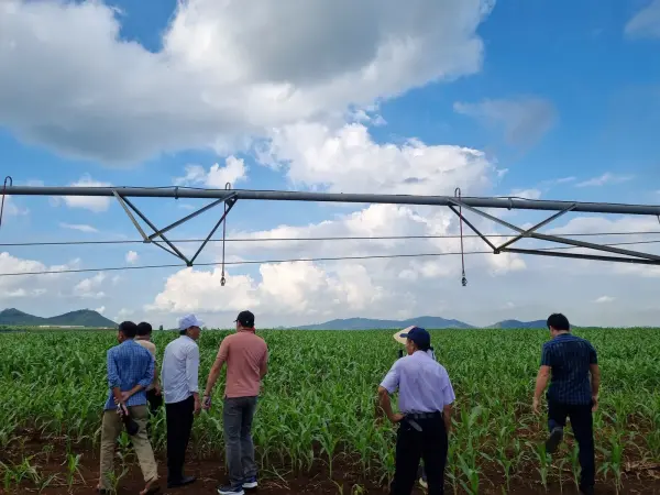 Tham quan mô hình ngô sinh khối tại Nghệ An — ảnh 28