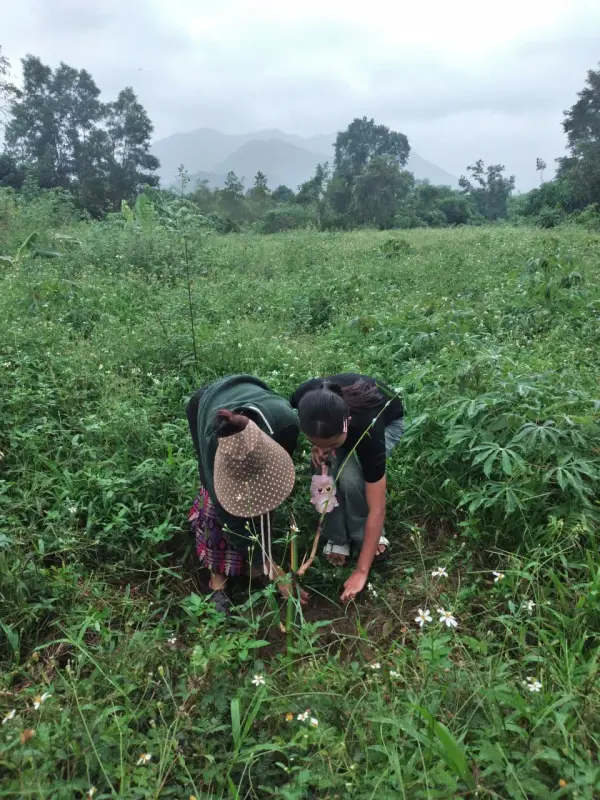 Nghiệm thu sáng kiến Trường Sơn — ảnh 13