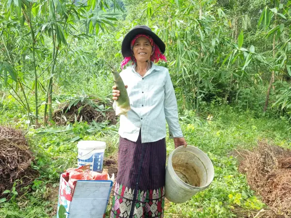 Tập huấn kỹ thuật trồng và nhân giống tre lấy măng — ảnh 17