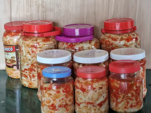 Tập huấn kiến thức vệ sinh an toàn thực phẩm và kỹ thuật công nghệ chế biến măng — ảnh 5