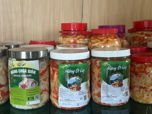 Tập huấn kiến thức vệ sinh an toàn thực phẩm và kỹ thuật công nghệ chế biến măng — ảnh 18