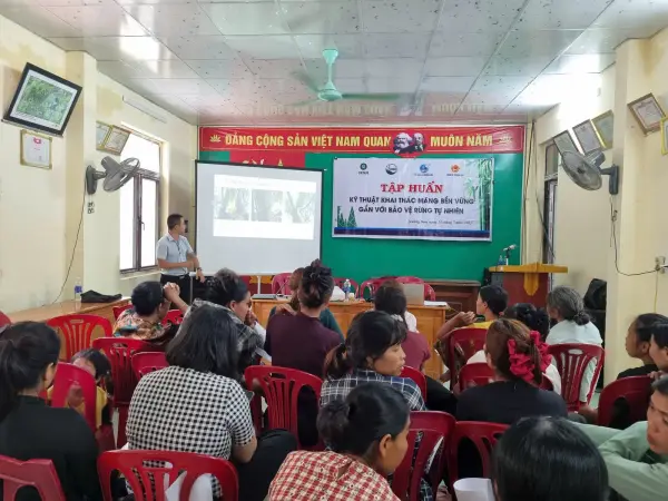 Tập huấn kỹ thuật khai thác măng bền vững gắn với bảo vệ rừng tự nhiên — ảnh 4