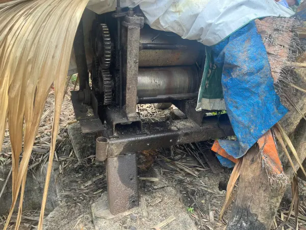 Khảo sát nhu cầu và lập kế hoạch mô hình sinh kế — ảnh 22