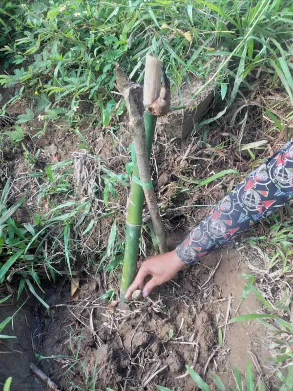 Nghiệm thu sáng kiến Trường Sơn — ảnh 9