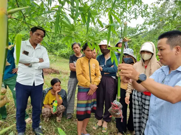 Tập huấn kỹ thuật khai thác măng bền vững gắn với bảo vệ rừng tự nhiên — ảnh 1